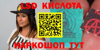 PSILOCYBIN Кингисепп