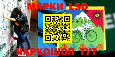 PSILOCYBIN Кингисепп
