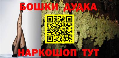 PSILOCYBIN Кингисепп